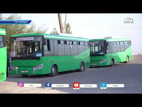 Видео: Ошто 49-автобус каттап баштады