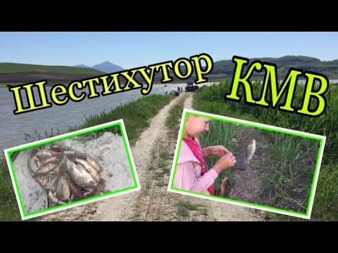 Видео: Наловили карася и карпа полный садок. Шестихутор на КМВ.