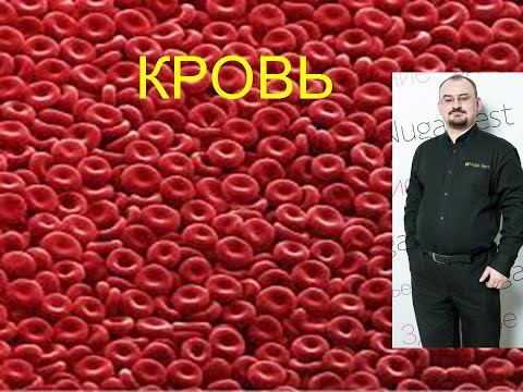 Видео: Кровь - лекция доктора Голода