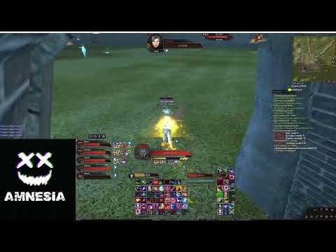 Видео: GvG | Flame vs Amnesia | 06.07.24 | Сервер Comeback PW 1.4.6