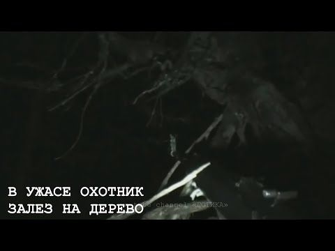 Видео: НЕЧТО ЖУТКОЕ ПРЕСЛЕДОВАЛО ОХОТНИКА В ТАЙГЕ | СТРАШНОЕ ВИДЕО