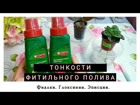 Видео: Все о фитильном поливе. Часть 2