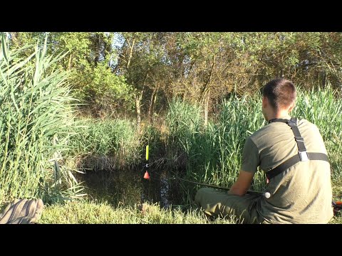 Видео: Рибалка на поплавок в мікро річці. МОНСТР ледь не зламав вудку. Готовка та відпочинок на природі