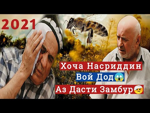 Видео: Хоча Насриддина -  Вой Дод аз Дасти замбур- 2021 Hoja nasriddin