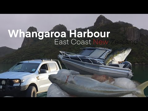 Видео: Весенняя рыбалка – Вангароа [Eps6] Восточное побережье Новой Зеландии