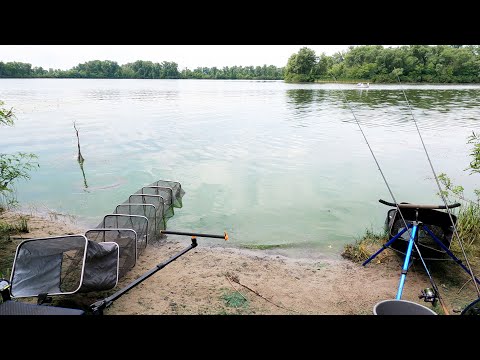 Видео: Фідер в червні та ще й на новому місці.  Вперше на Десенці. Відпочинок не тільки для рибалок.