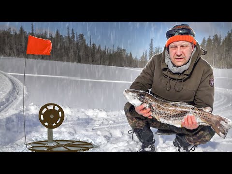 Видео: Большая Кумжа, или просто рыбалка...