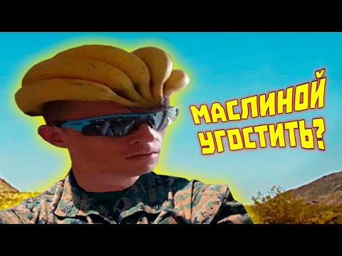 Видео: ЛЮТЫЕ ПРИКОЛЫ В ИГРАХ | WDF 266