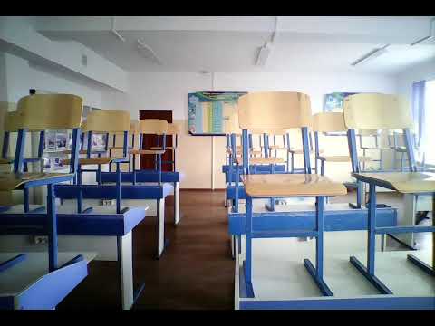 Видео: Түлкібас аудандық білім бөлімі Олимпиада