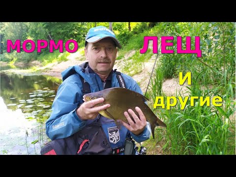 Видео: #428 #мормышинг | Эти рыбы отрывают мормышки |