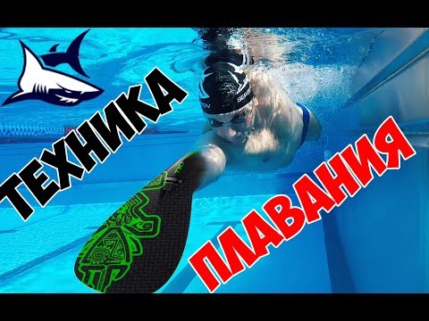 Видео: Как исправить ТЕХНИКУ и научиться быстро ПЛАВАТЬ всего за месяц  Ошибки в плавании кролем