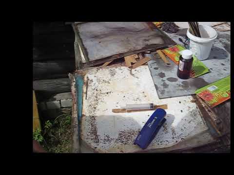 Видео: Пихтовое масло против клеща варроа