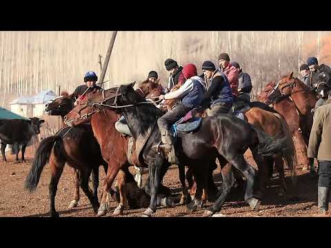 Видео: АЛАМАН УЛАК 05 12 2021 АЛАЙ МУРДАШ
