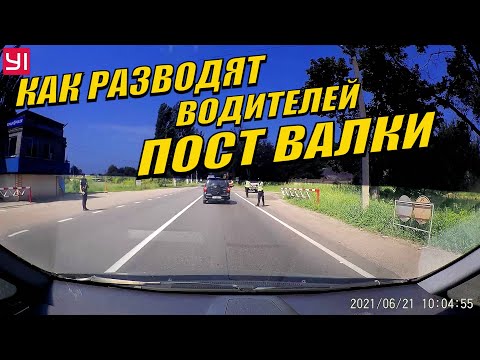 Видео: ПОЛИЦИЯ ШАХОВ УСТРОИЛ ПРОИЗВОЛ НА ПОСТУ ВАЛКИ.