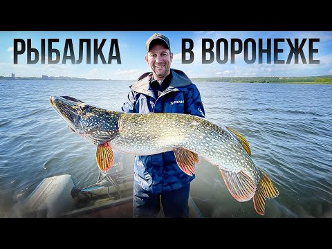 Видео: Рыбалка на трофейную щуку на ВОРОНЕЖСКОМ ВОДОХРАНИЛИЩЕ. Рыбу ловят все!