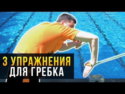 Видео: Отработка гребка для плавания кролем. Упражнения с резиной