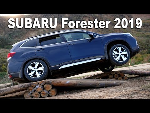 Видео: Первый тест-драйв Subaru Forester 2019 - offroad у моря