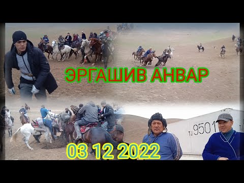 Видео: ЭРГАШИВ АНВАР БУЗКАШИ УЛОК КУПКАР 03 12 2022