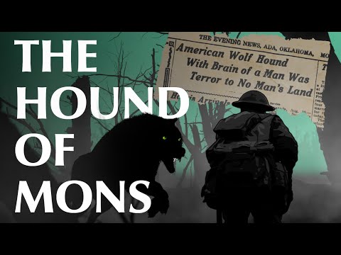 Видео: Солдат заявил, что немецкие ученые имплантировали мозг пациента психиатрической клиники волку...