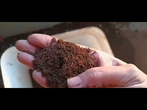 Видео: Почва за разсад- сеитба на семена