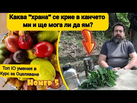 Видео: #5: 🤔 Ти би ли ял от "храната" в менчето ми при оцеляване? 🆘