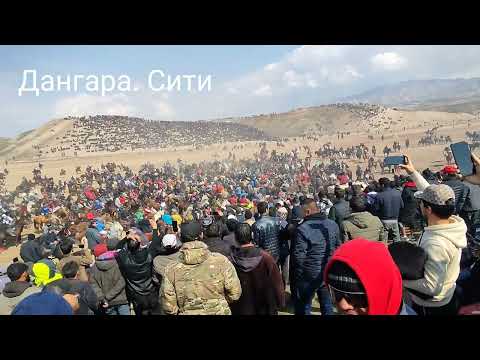 Видео: бузкаши дахшад эргаш кишлок 24 02 2024 г