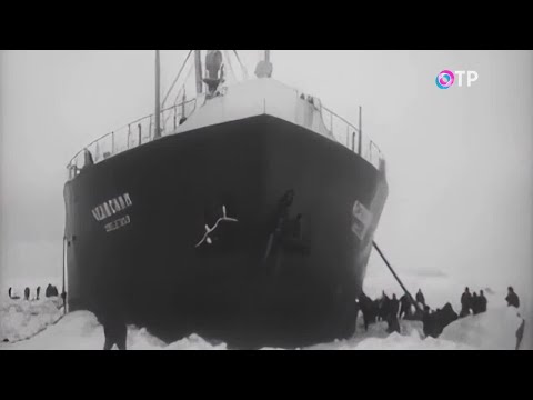 Видео: Как спасли челюскинцев. Программа Леонида Млечина