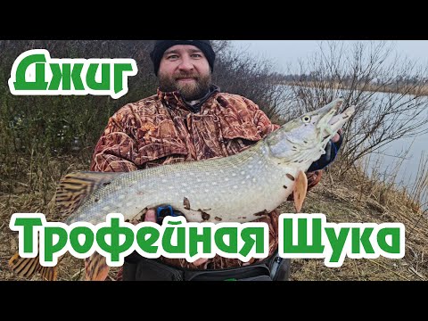 Видео: Щука на Джиг / Трофейная Щука / Щука Зимой / Гниловской Канал / Спиннинг с Берега /