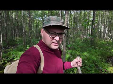 Видео: С палаткой на озеро Глубокое, Ленинградская область