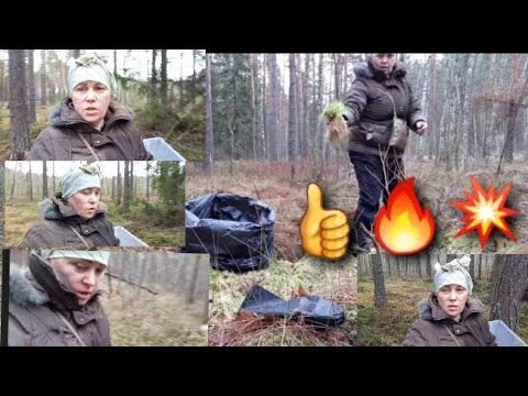 Видео: Выходной в не ОРХИДЕЙ но Для ОРХИДЕЙ/Еду  за Мох_Сфагнум  в Лес/Последний сбор перед Зимой 15.11.20🌲