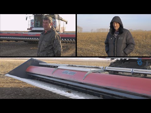 Видео: Nardi или Zaffrani. Ищем лучшую жатку для подсолнечника