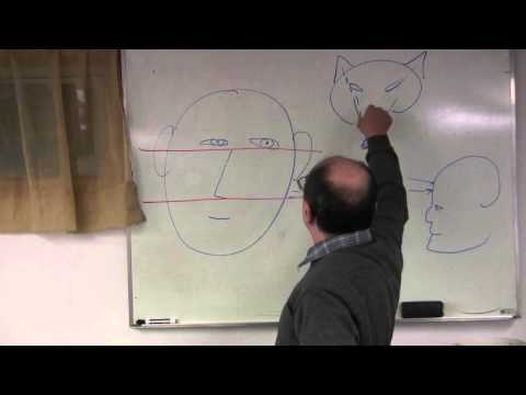 Видео: Физиономика (физиогномика). Полная версия 1