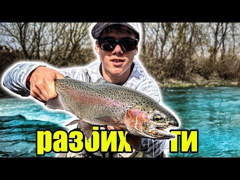 Видео: НАЗОБЕНИ ПЪСТЪРВИ! Риболов на ПЪСТЪРВА на река Огоста!