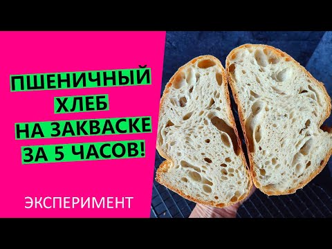 Видео: Хлеб за закваске за 5🕔 часов! ЭКСПЕРИМЕНТ. {От замеса до готового хлеба}