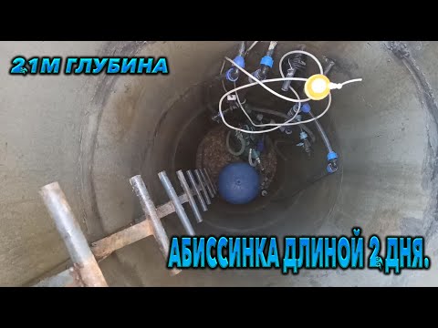 Видео: Питьевая Абиссинская  21м с низкой статикой.