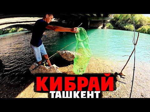 Видео: Ташкент: Неожиданные открытия в городе Кибрай!