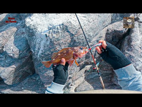 Видео: 🦀 Секрет краба-пирунчо и магия джиг-приманки: приемы, которые всегда приносят рыбу