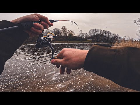 Видео: РЫБАЛКА НА БЕЛОГО ХИЩНИКА! ДОЛГОЖДАННЫЕ ПОКЛЕВКИ ЖЕРЕХА! Рыбалка на спиннинг.