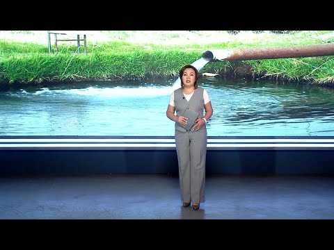 Видео: Өнүгүүгө карай // 17.05.2025