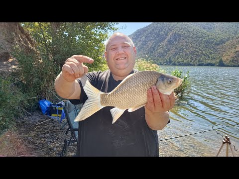 Видео:  Отлично порыбачили на фидер, река Эбро как всегда радует  