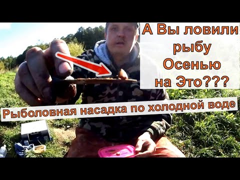 Видео: САЛО ДЛЯ РЫБАЛКИ  УЛОВИСТЫЙ РЕЦЕПТ от СТАРОГО РЫБАКА Рыбалка на сало  Насадка дл