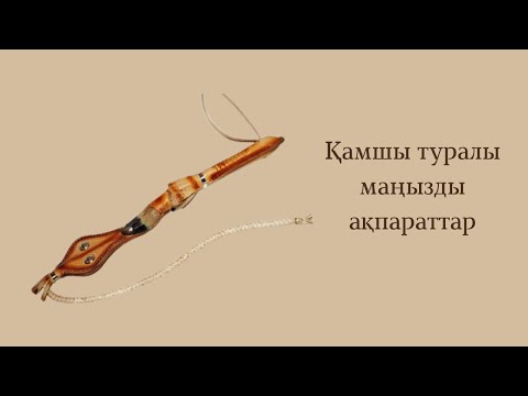 Видео: Қамшы туралы қызықты деректер😨