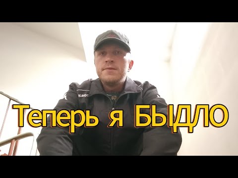 Видео: Быдлёныш.