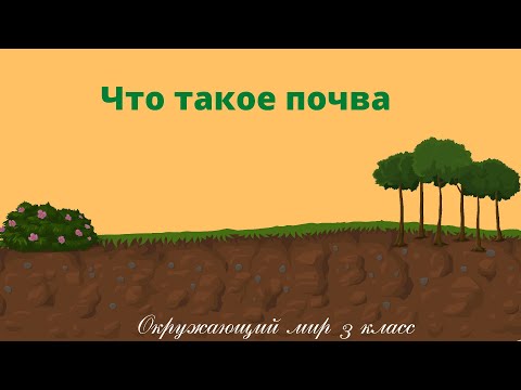 Видео: Что такое почва. Окружающий мир 3 класс