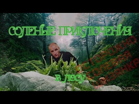 Видео: ОТКРОВЕНИЕ ПАДШИХ|СОЛЕНЫЕ ПРИКЛЮЧЕНИЯ В ЛЕСУ|ИСТОРИИ ИЗ УПОТРЕБЛЕНИЯ