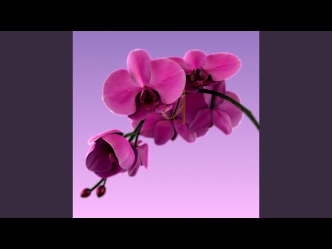 Видео: Нареви мне реку (feat. Эмелевская, Дима Гамбит)