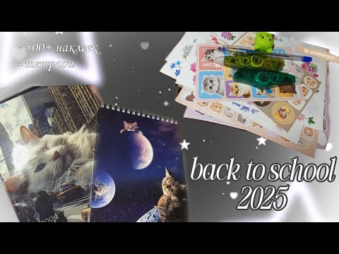 Видео: back to school 2025 / покупки канцелярии / 500 стикеров / новинки канцелярии
