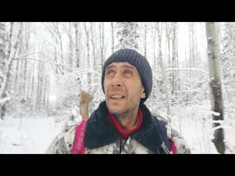 Видео: Жизнь в тайге. Хитрый глухарь. По таежной тропе.