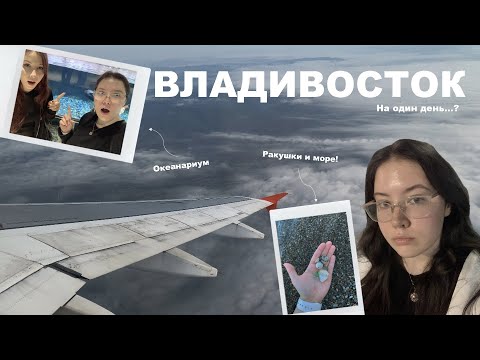 Видео: Владивосток! | впервые на самолёте✈️, океанариум🐠, море🌊