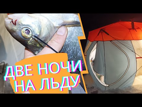 Видео: Две ночи на льду!Лещевая рыбалка на Вазузе! Ночь 1ая!